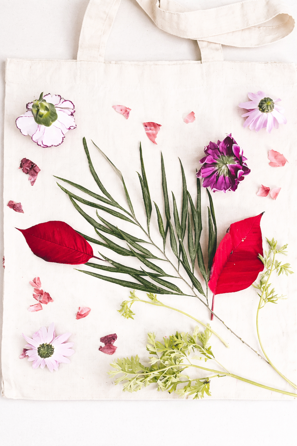 Taller d’Estampació Botànica