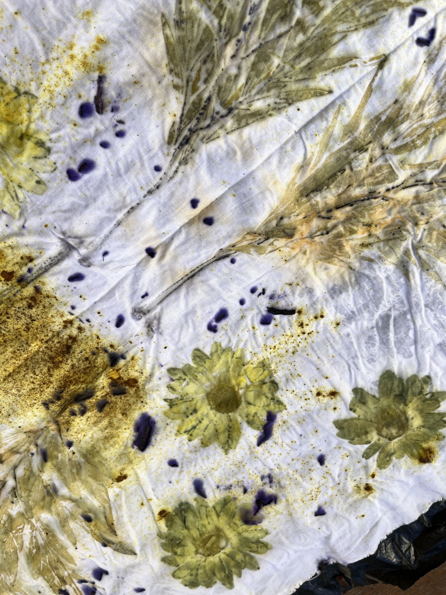 Taller d’Estampació Botànica 