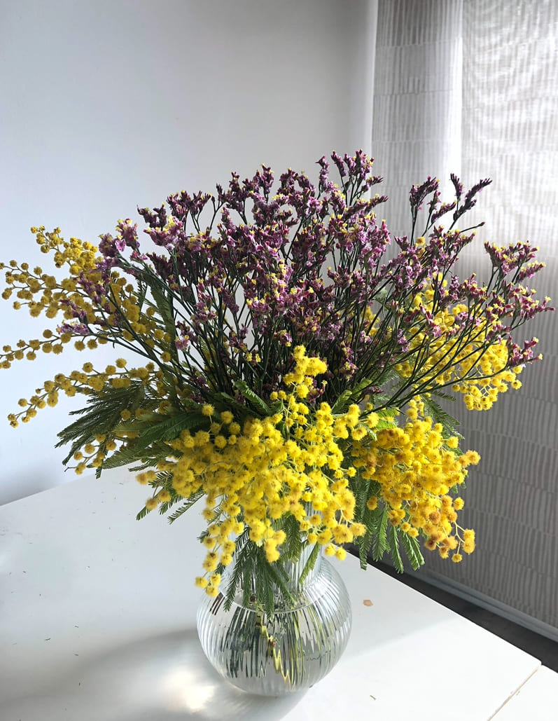 Taller - Ram de Mimosa - 7 Febrer  🌼