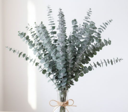 Ramo de Eucaliptus Baby Blue Azul