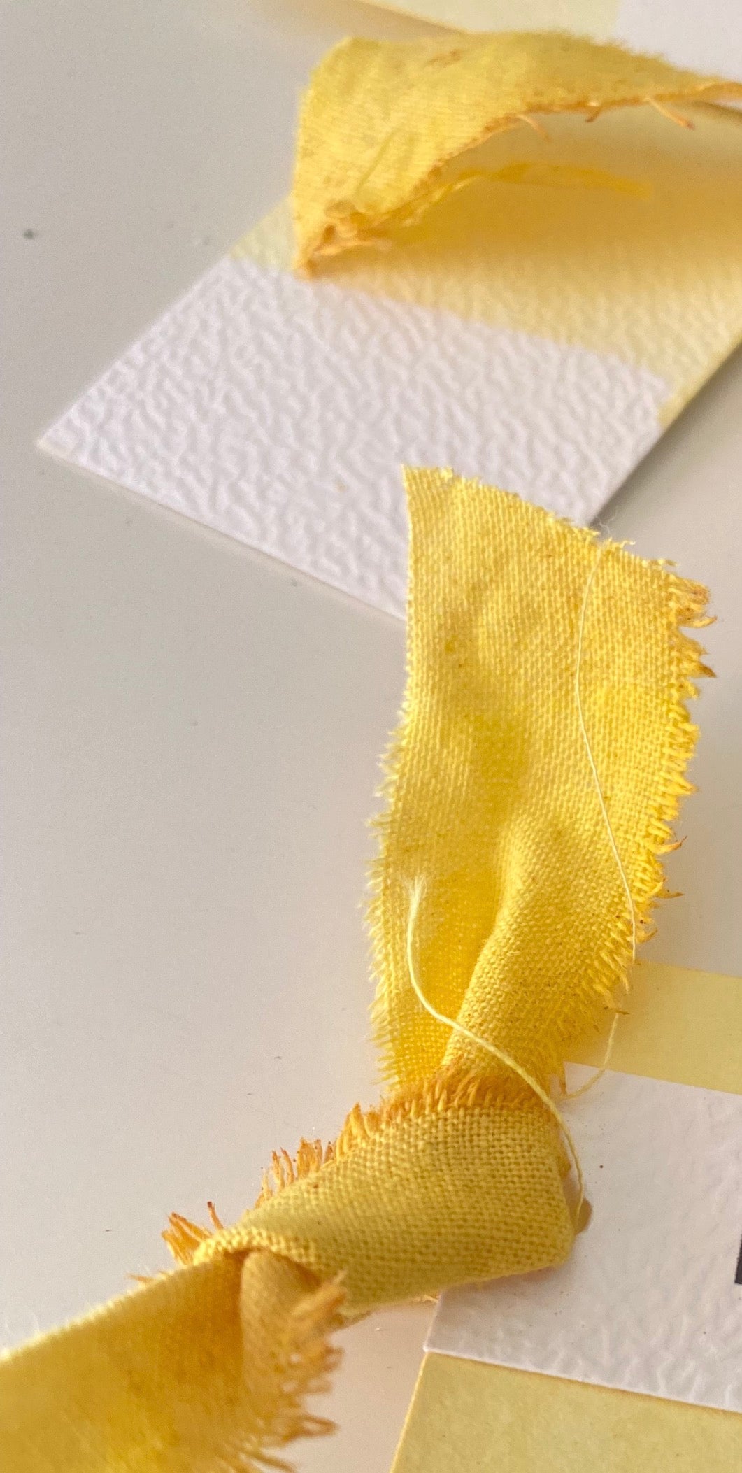  Taller de creació de pintures i tints naturals - 14 Maig